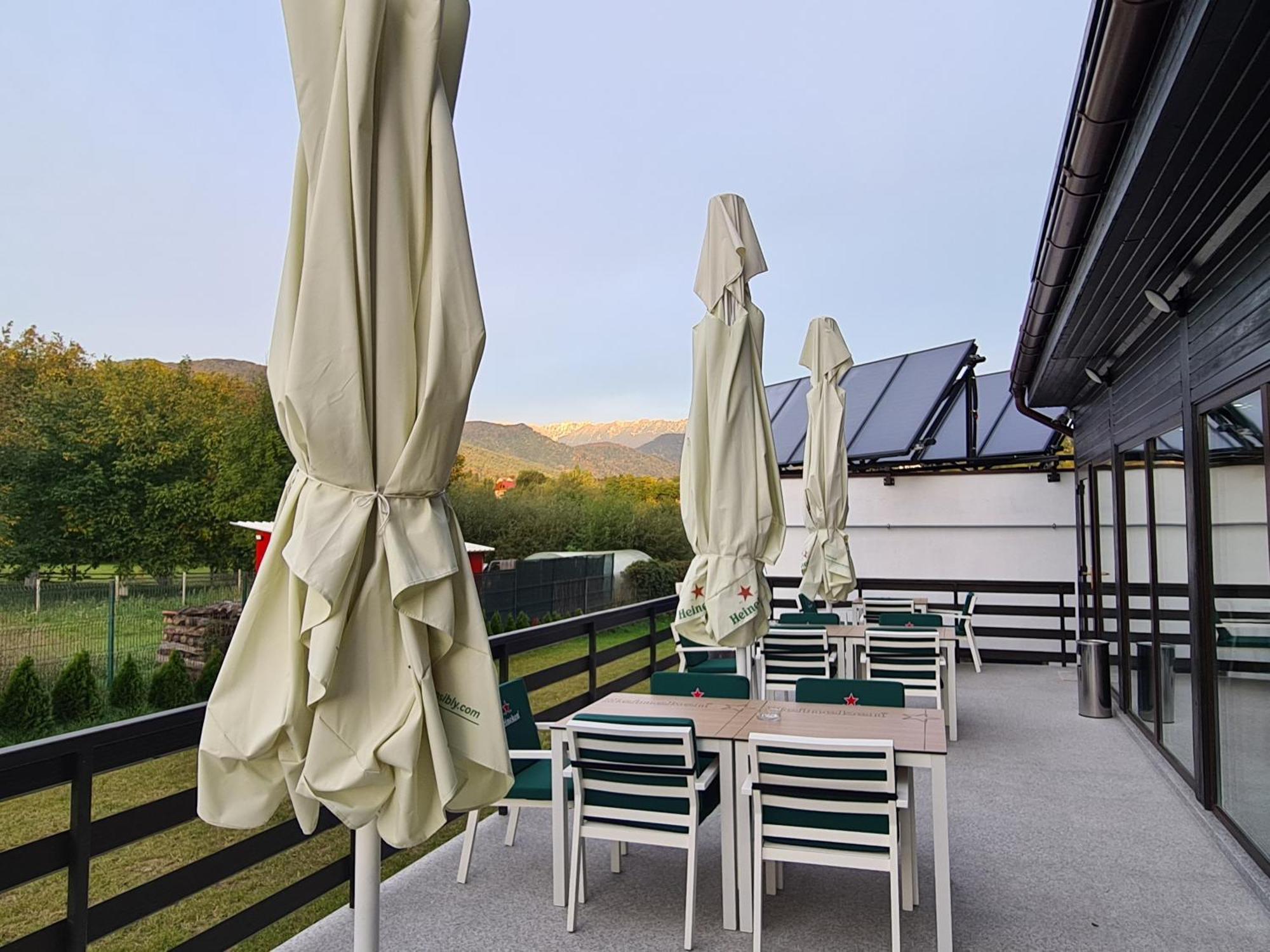 New Wolf Hotel Bran  Buitenkant foto